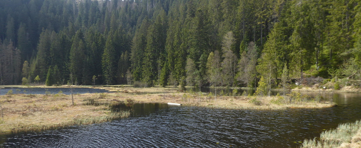 Workshop Grundwasserbewirtschaftung in NATURA2000-Gebieten am 16./17.02.2017 am KIT