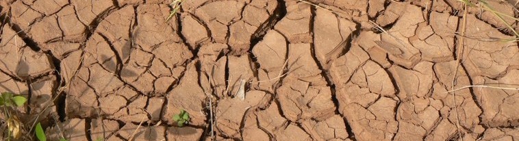Workshop Drought in the Anthropocene