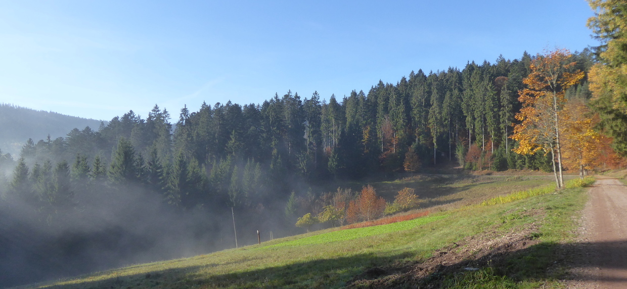 Workshop Water Ages in the Hydrological Cycle