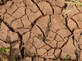 Workshop Drought in the Anthropocene